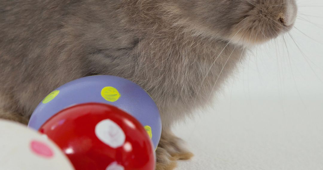 Easter Bunny with Colorful Eggs