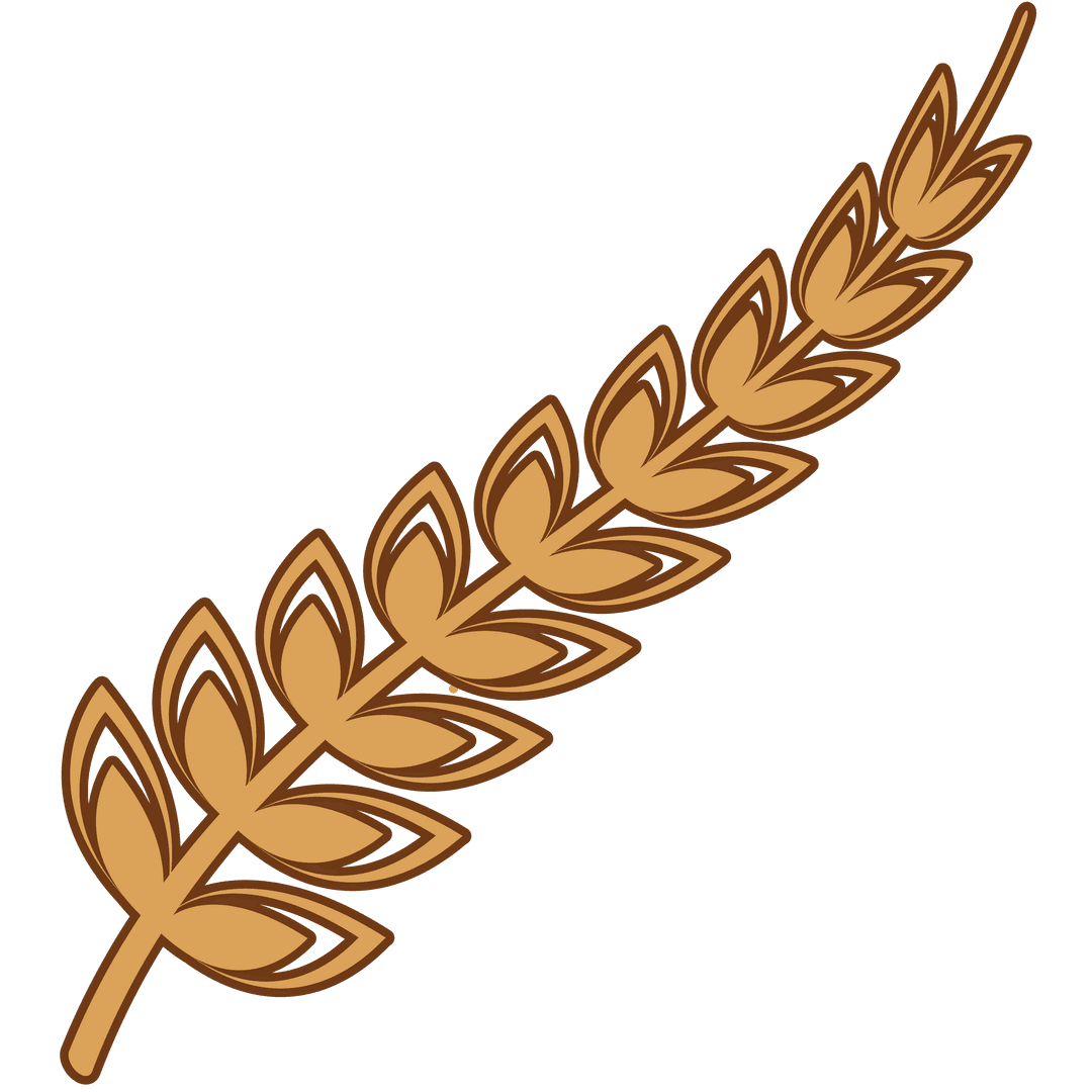 Illustration of Wheat Ear on Transparent Background