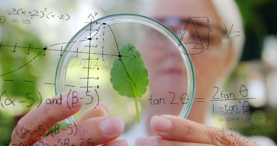 Scientist Analyzing Leaf Through Magnifying Glass with Math Equations - Free Images, Stock Photos and Pictures on Pikwizard.com