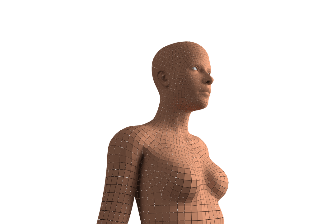 3D Female Figure Digital Pixel Art on Transparent Background