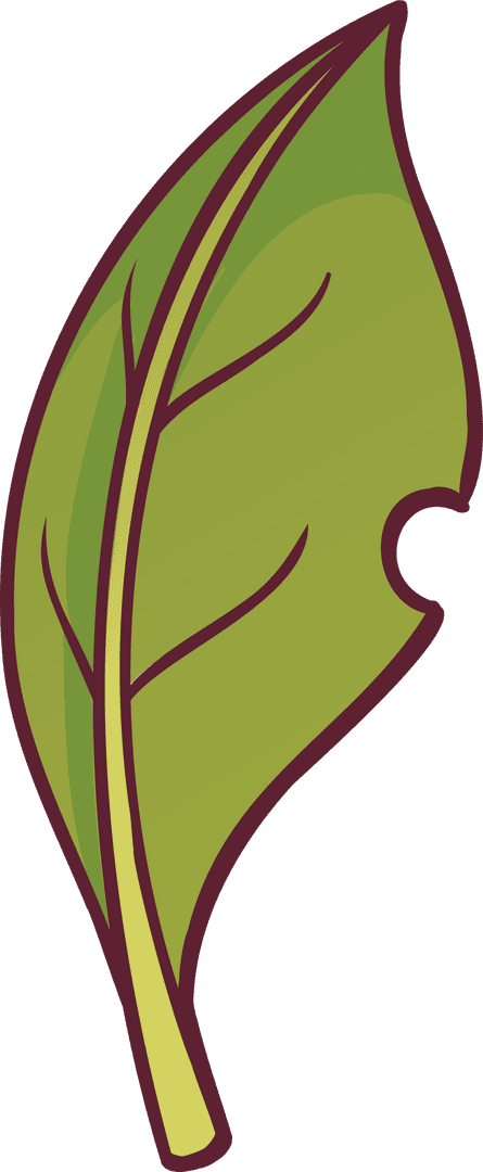 Botanical Green Leaf Vector on Transparent Background