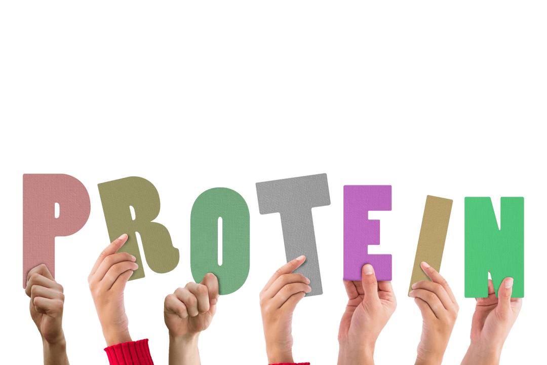 Hands Holding Protein Text Letters on Transparent Background