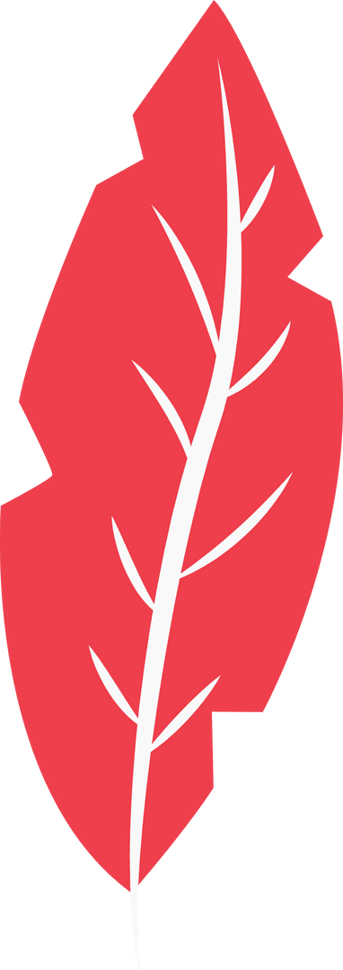 Red Leaf Illustration with White Veins on Transparent Background