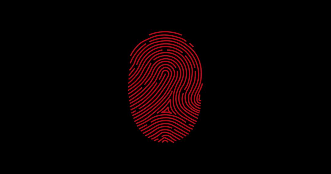 Digital Fingerprint with Red Accents on Black Interface Design