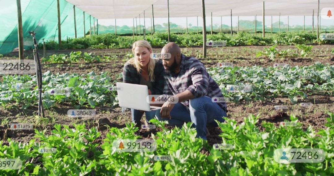 Farmers using laptop in greenhouse checking crop sensors and monitoring farm data