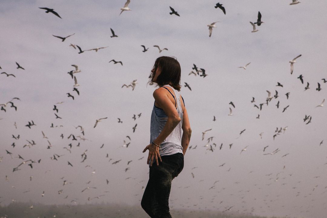 Woman Standing Among Flock of Seagulls With Foggy Background - Free Images, Stock Photos and Pictures on Pikwizard.com