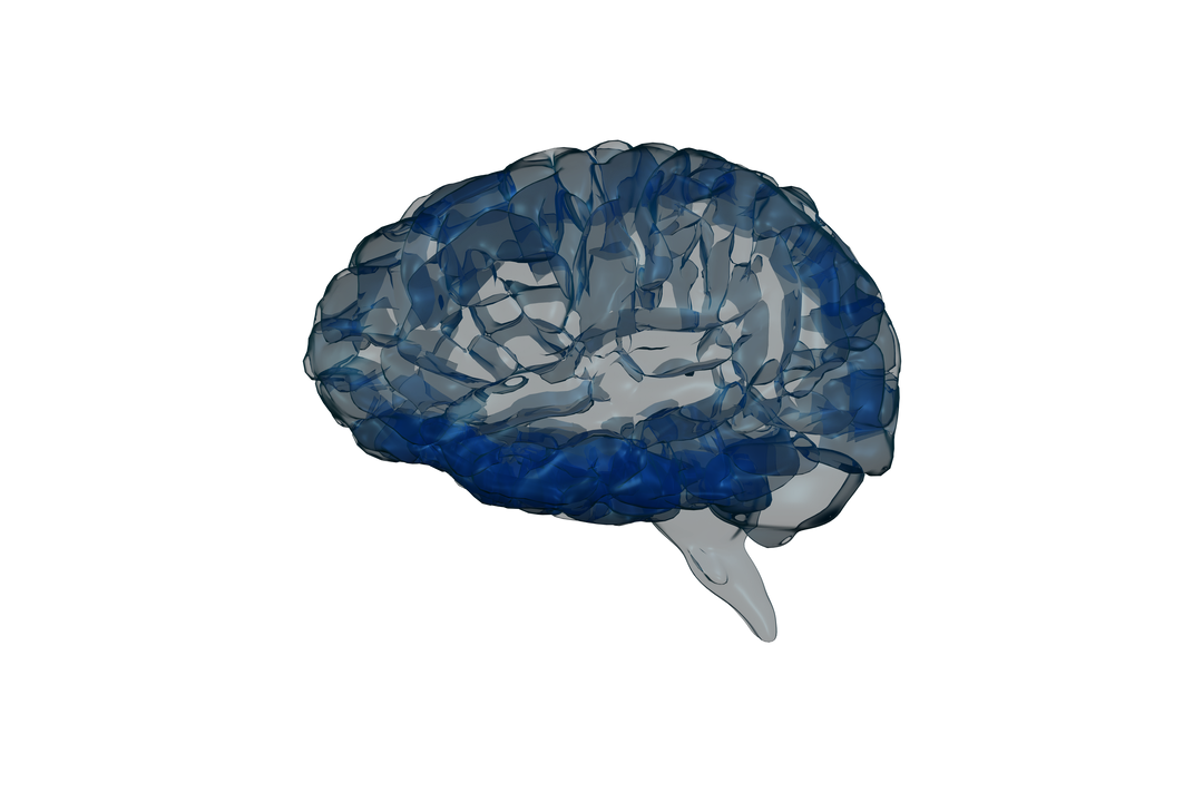 Transparent Digital Brain Illustration Symbolizing Knowledge and Intelligence - Download Free Stock Images Pikwizard.com