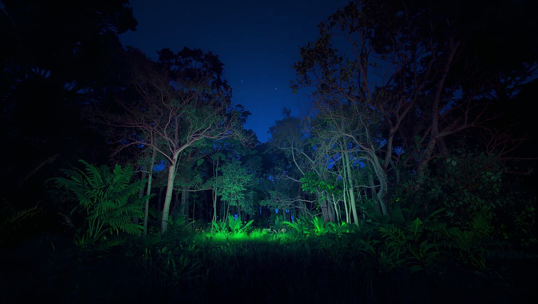 Mystical Forest Clearing with Enchanting Night Illumination