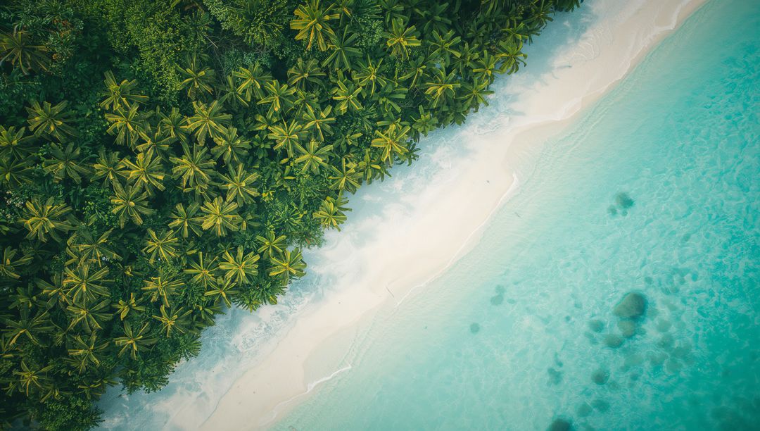 Aerial View of Tropical Beach with Turquoise Waters and Lush Palm Trees