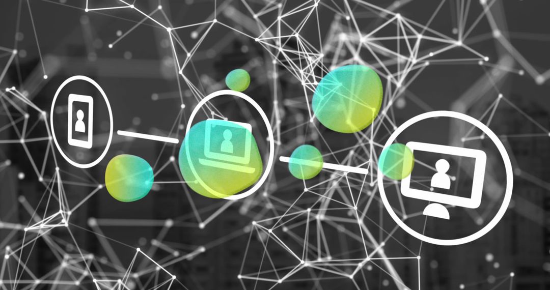 Digital Interface and Connectivity Network