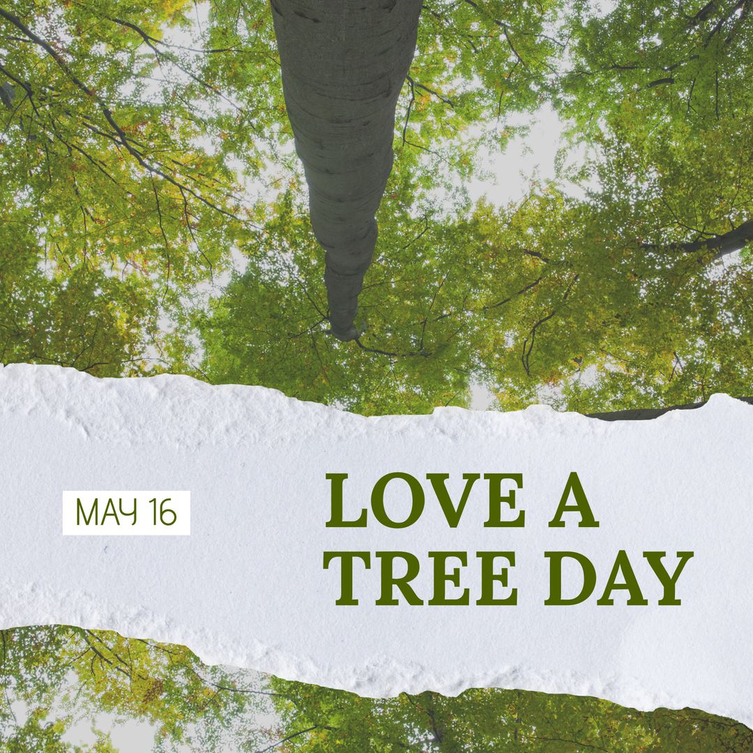 Celebrating Love a Tree Day with Forest View