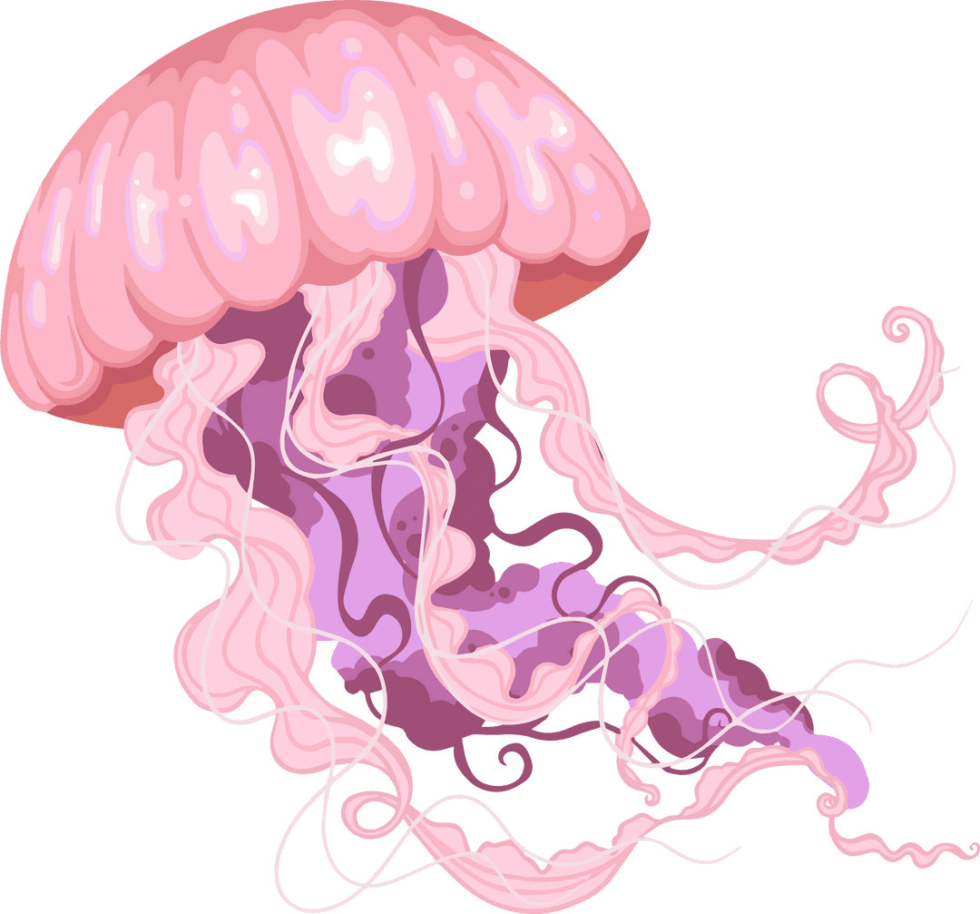 Stylized Pink Jellyfish with Floating Tentacles on Transparent