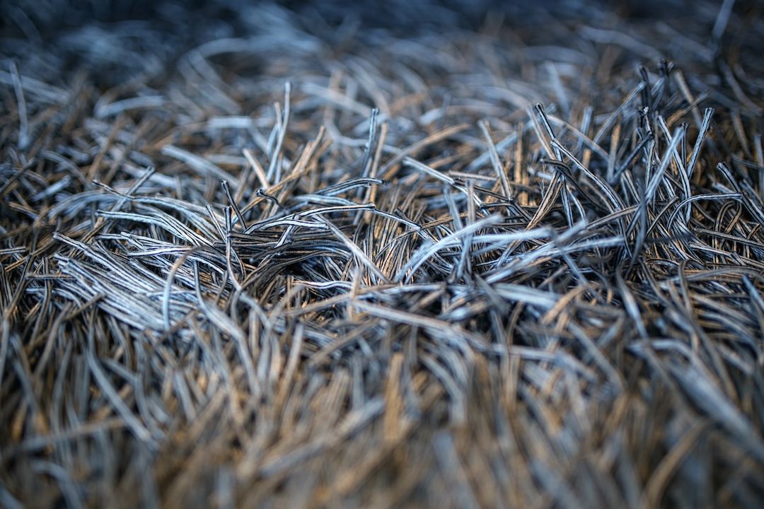 Close-Up of Metallic Wire Fiber Texture - Free Images, Stock Photos and Pictures on Pikwizard.com