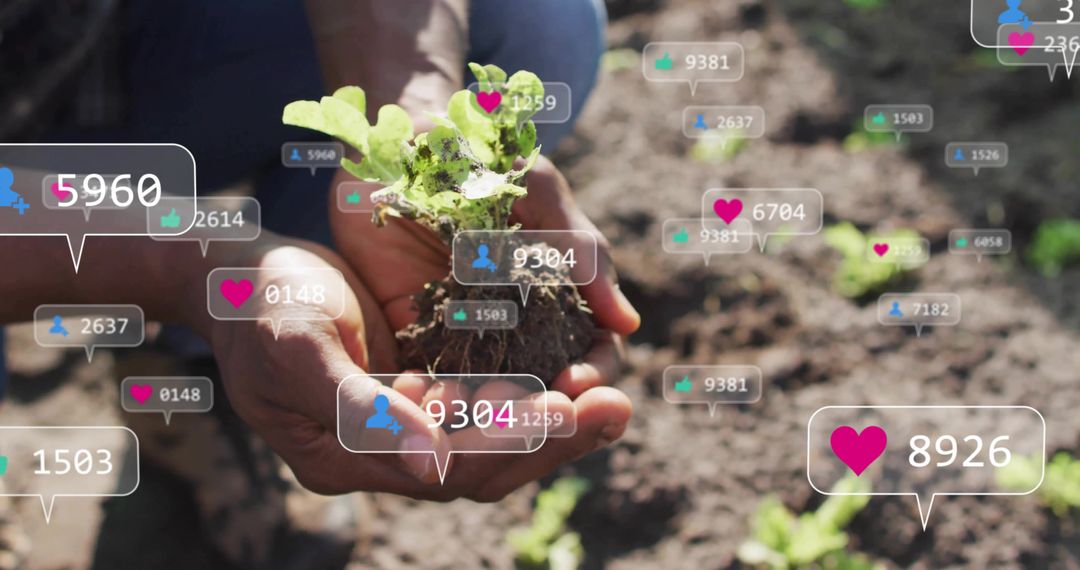 Social Media and Sustainable Gardening Connection