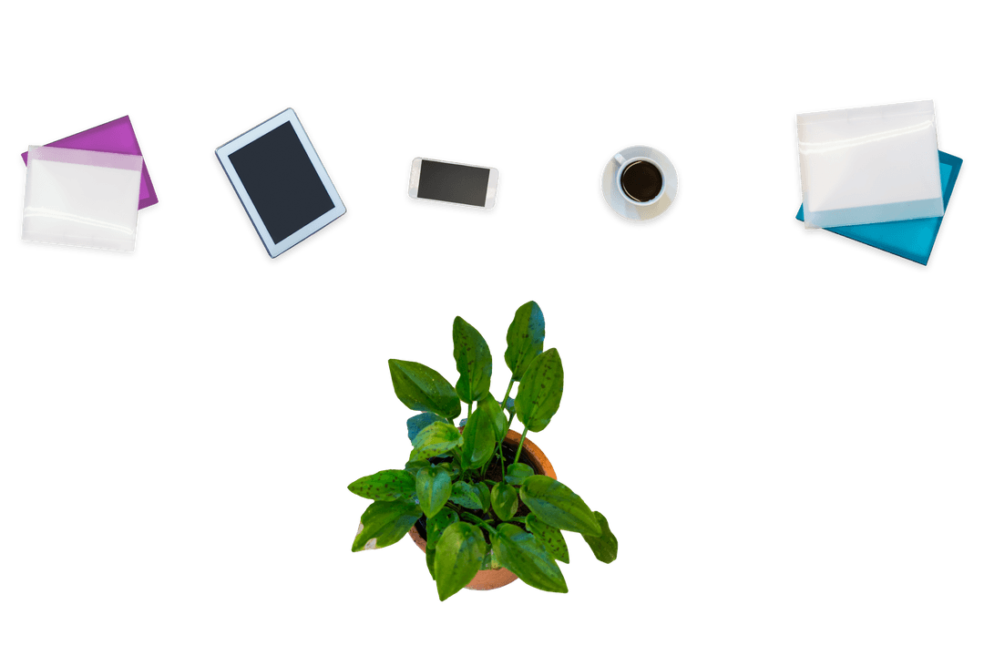 Transparent View of Office Essentials Around Plant