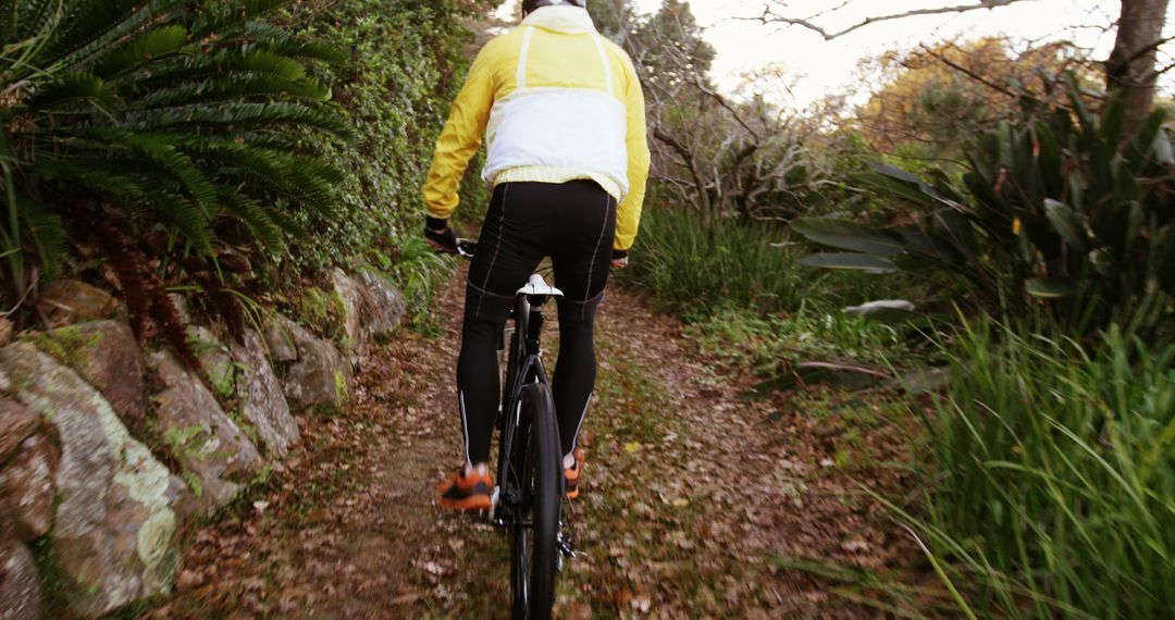 Cyclist Riding on Forest Trail in Autumn - Free Images, Stock Photos and Pictures on Pikwizard.com