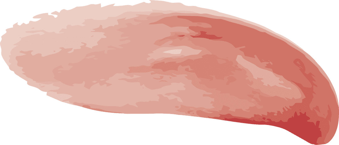 Pink Paint Smudge on Transparent Background Vector Illustration