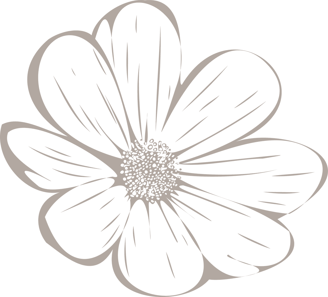 Transparent Stylized Line Art Flower Illustration