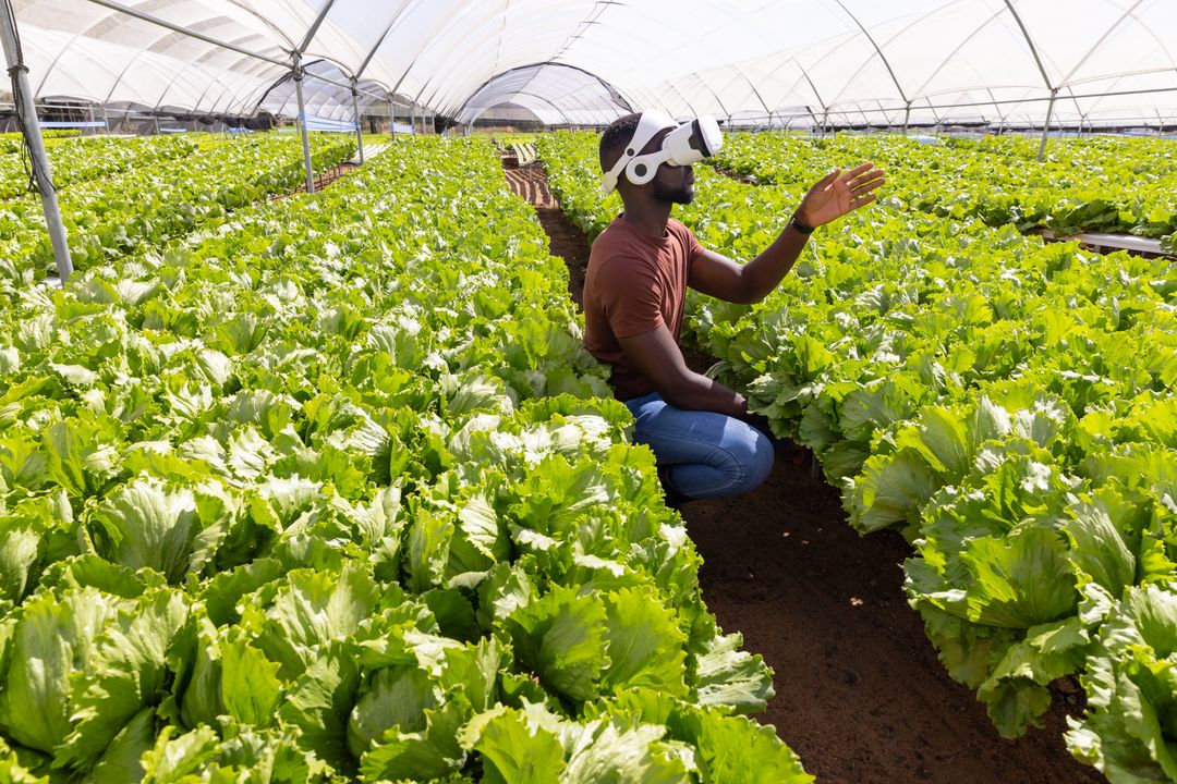 African American Farmer Using VR Technology in Greenhouse