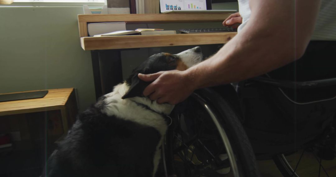 Man in Wheelchair Petting Dog While Working in Home Office