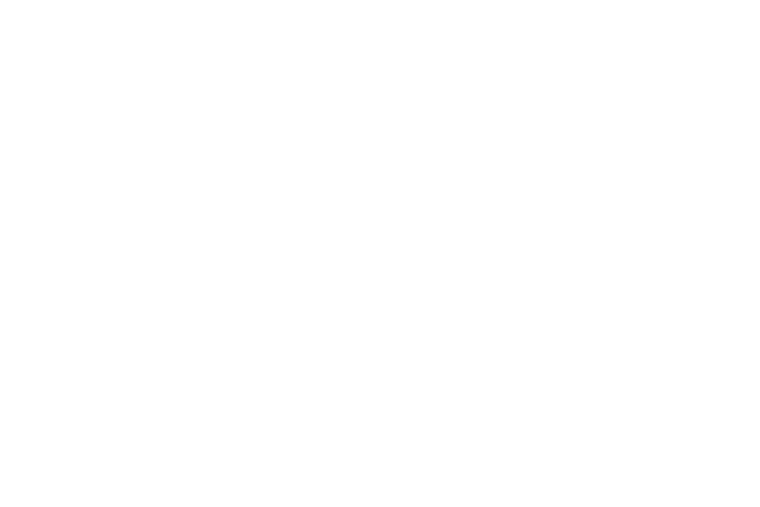 Transparent Cheerful Silhouette of Celebrating Group