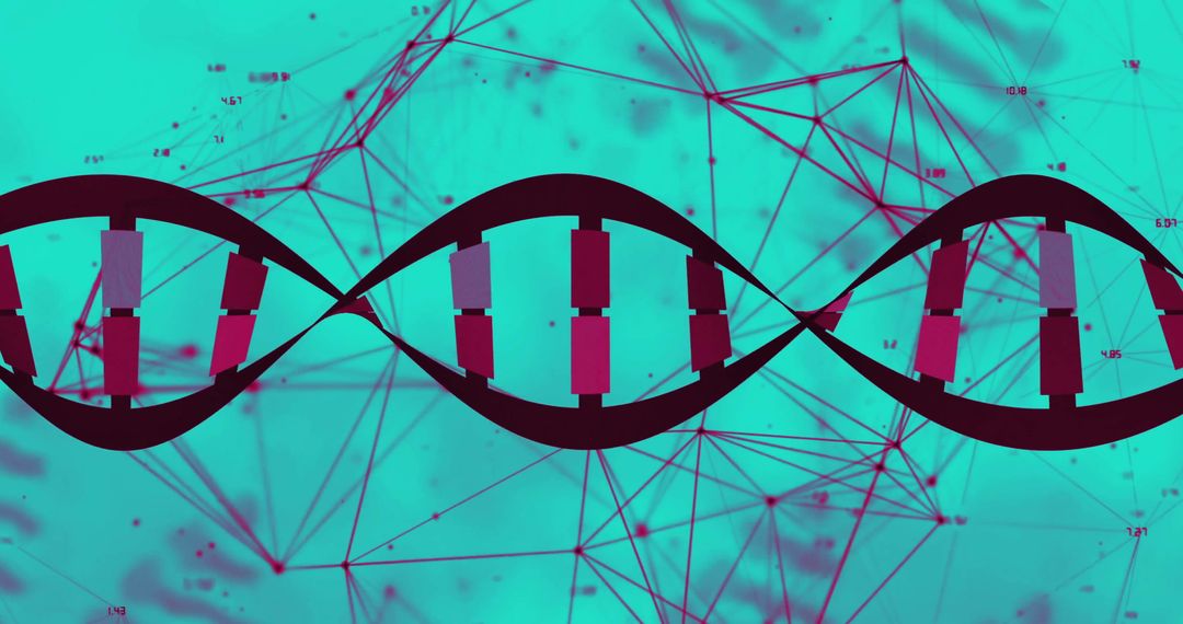 Digital Representation of DNA Double Helix in Biotech Network