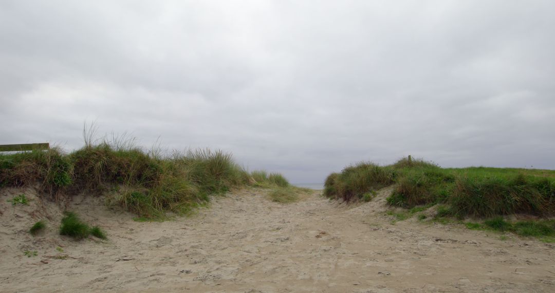 Sandy Beach Path with Grass Dunes under Overcast Sky - Free Images, Stock Photos and Pictures on Pikwizard.com