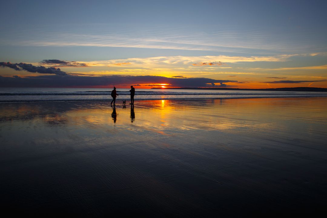 Silhouettes of Family Walking on Beach at Sunset - Free Images, Stock Photos and Pictures on Pikwizard.com
