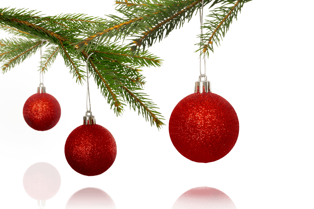Red Christmas Balls on Pine Branches Transparent Background