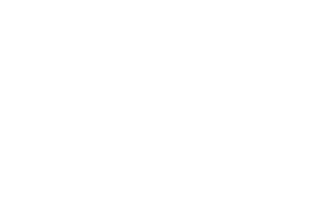 Weightlifter Silhouette with Barbell on Transparent Background - Download Free Stock Images Pikwizard.com