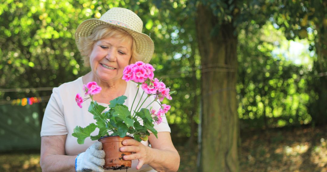 Senior Woman Gardening with Pink Flowers in Hand, Wearing Hat - Free Images, Stock Photos and Pictures on Pikwizard.com