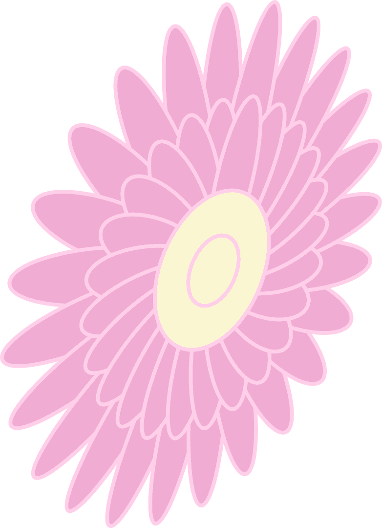 Vibrant Pink Daisy Bloom on Transparent Background