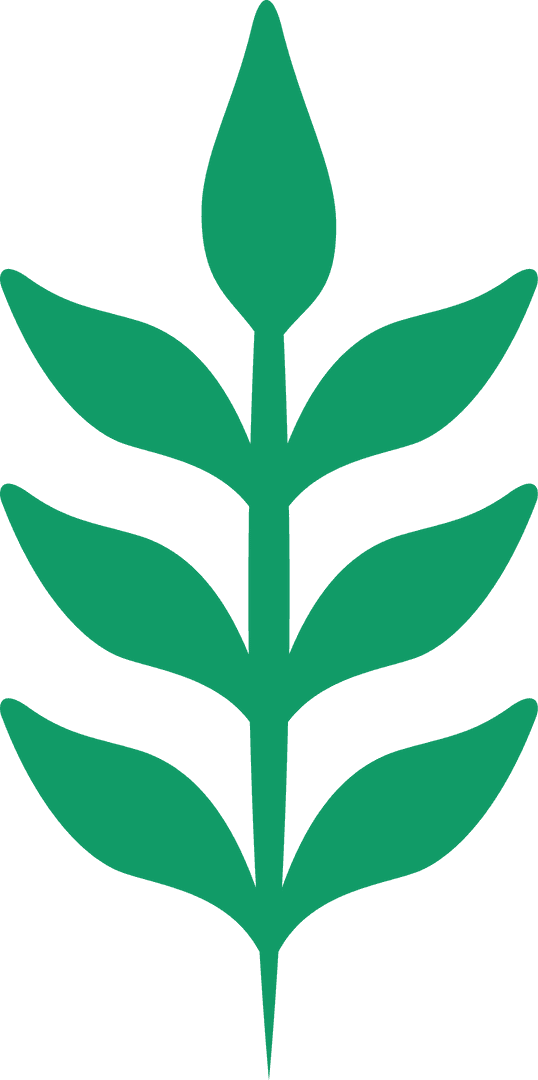Stylized Green Plant Branch with Transparent Background