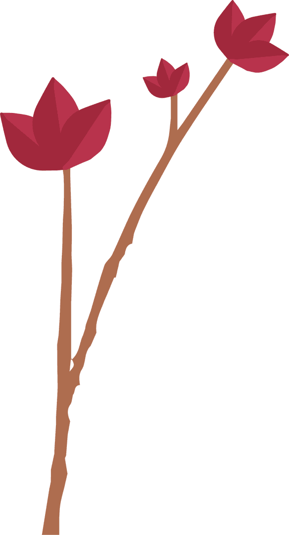 Stylized Branch with Red Buds on Transparent Background