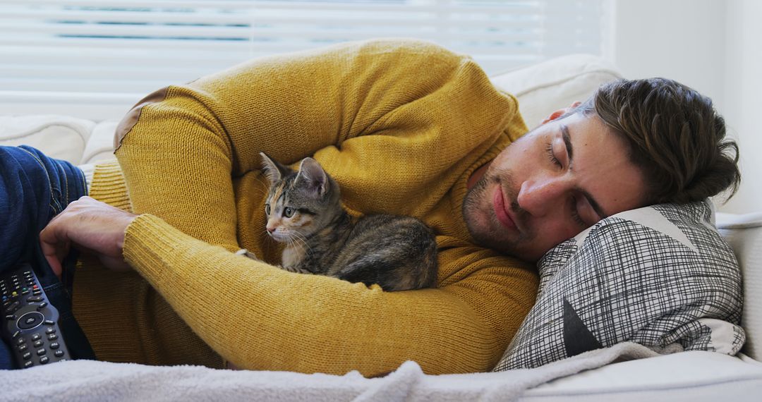 Man Relaxing on Couch with Kitten During Cozy Nap Time
