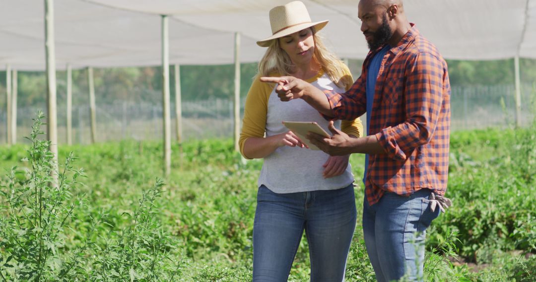 Farmers Discussing Crop Plans with Tablet Technology
