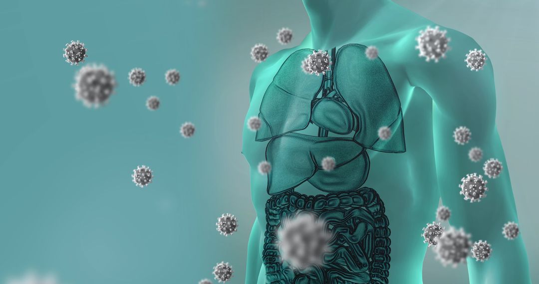 Digital Human Anatomy with Floating Virus Cells Representation