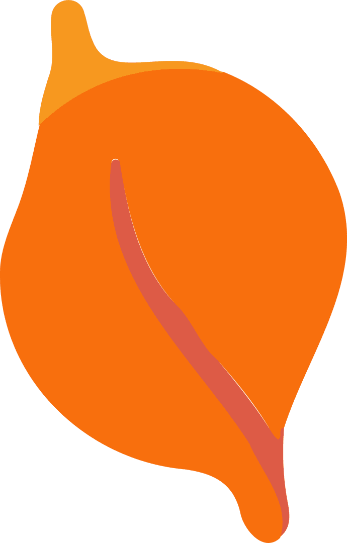 Abstract Orange Leaf Shape with Red Vein on Transparent Background