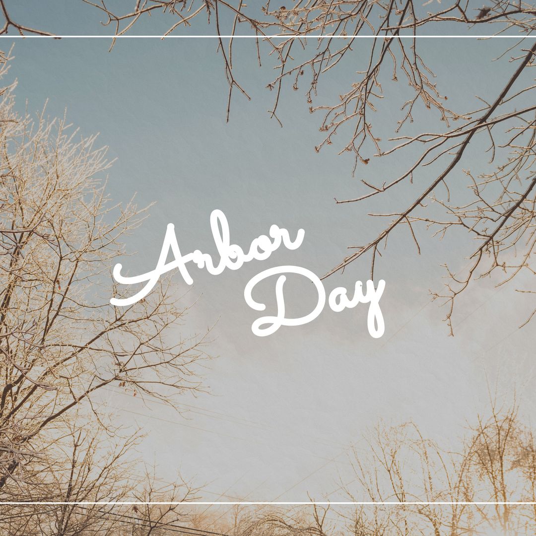 Arbor Day Celebration Amidst Tree Branches at Sunset