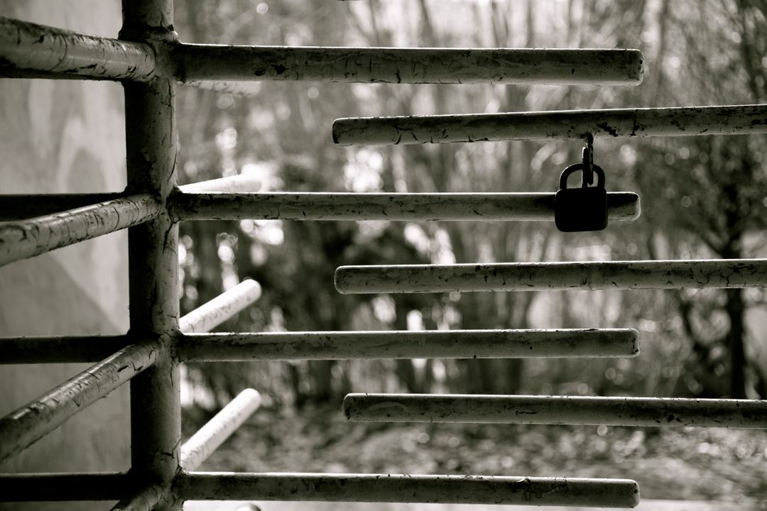 Old Rusty Bars with Padlock in Black and White - Free Images, Stock Photos and Pictures on Pikwizard.com