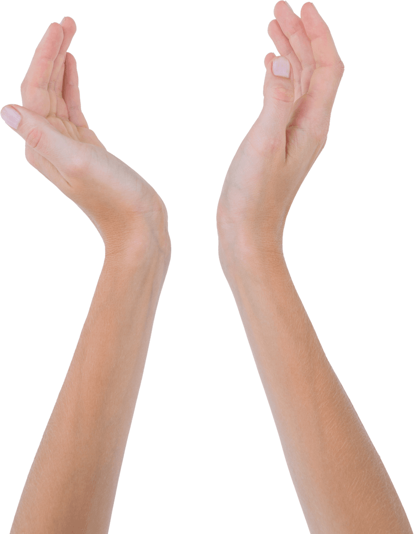 Transparent Hands in Presenting Gesture