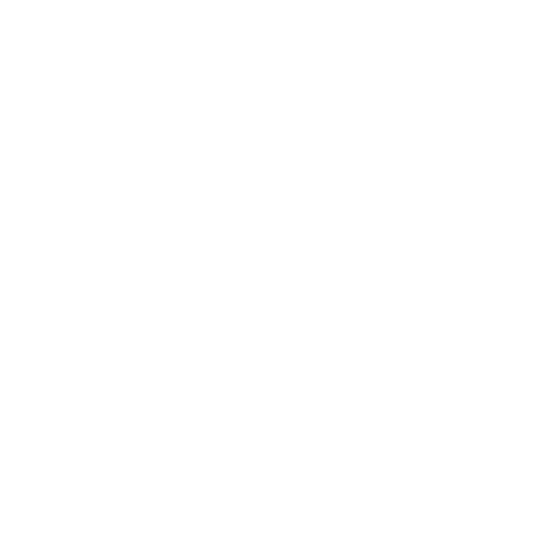 Decorative Floral Symbols on Transparent Background, White Patterns