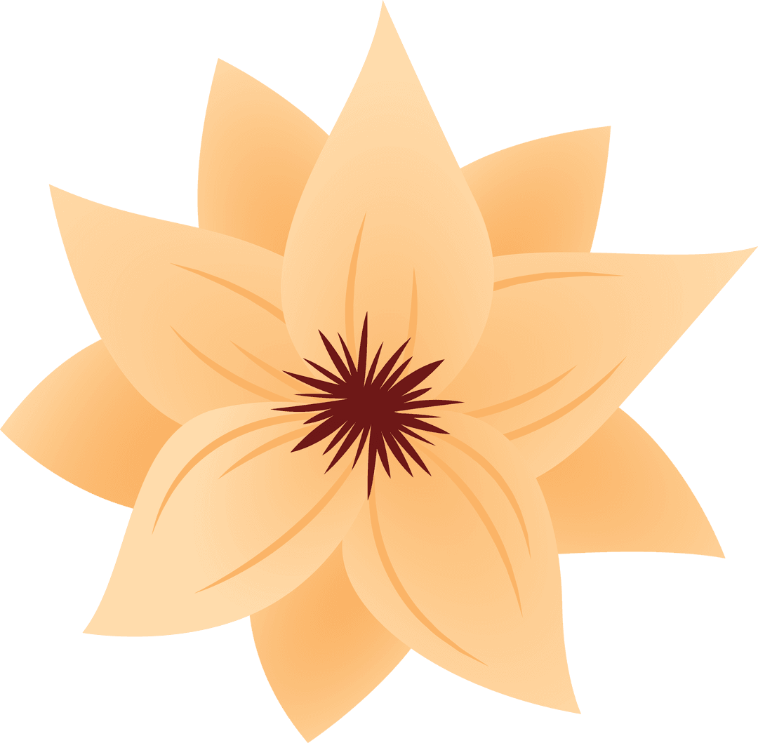 Transparent Orange Flower with Brown Center Illustration