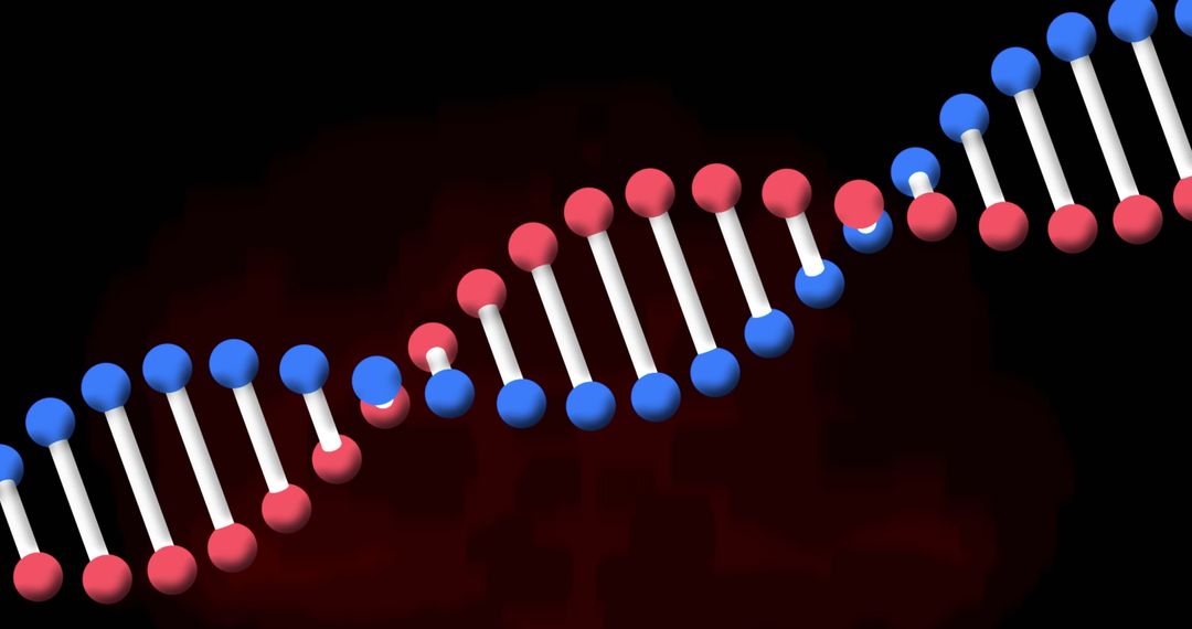 Rotating DNA Helix on Red and Black Background