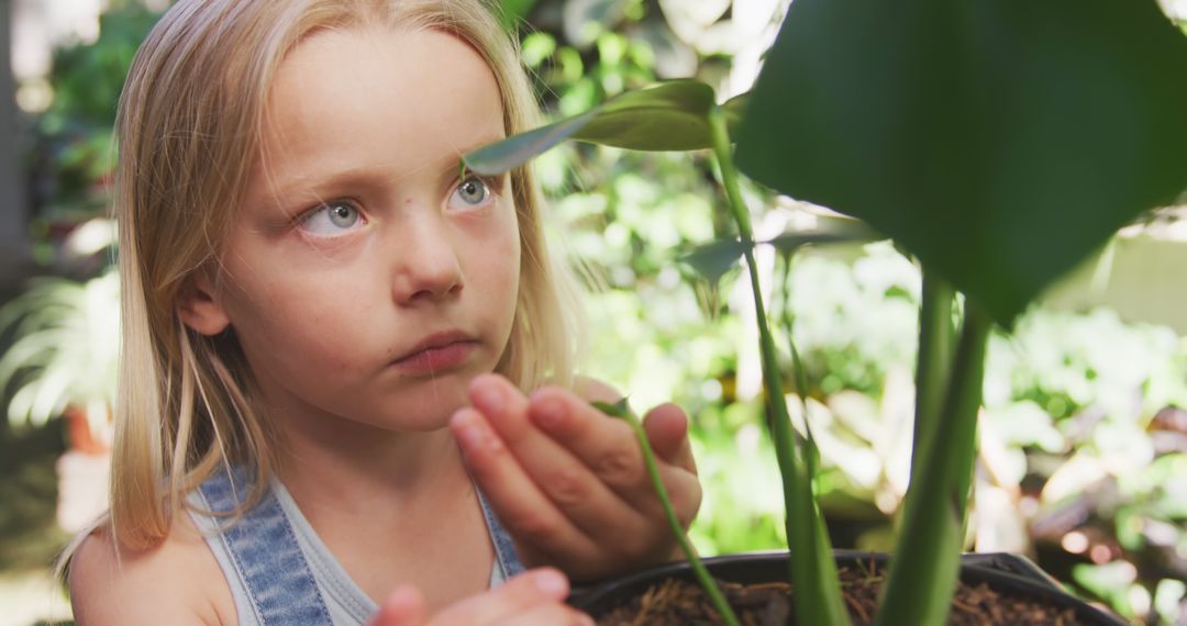 Little Girl Observing Young Plant in Garden - Free Images, Stock Photos and Pictures on Pikwizard.com