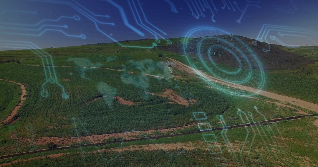 Digital Transformation Overlaying Lush Landscape