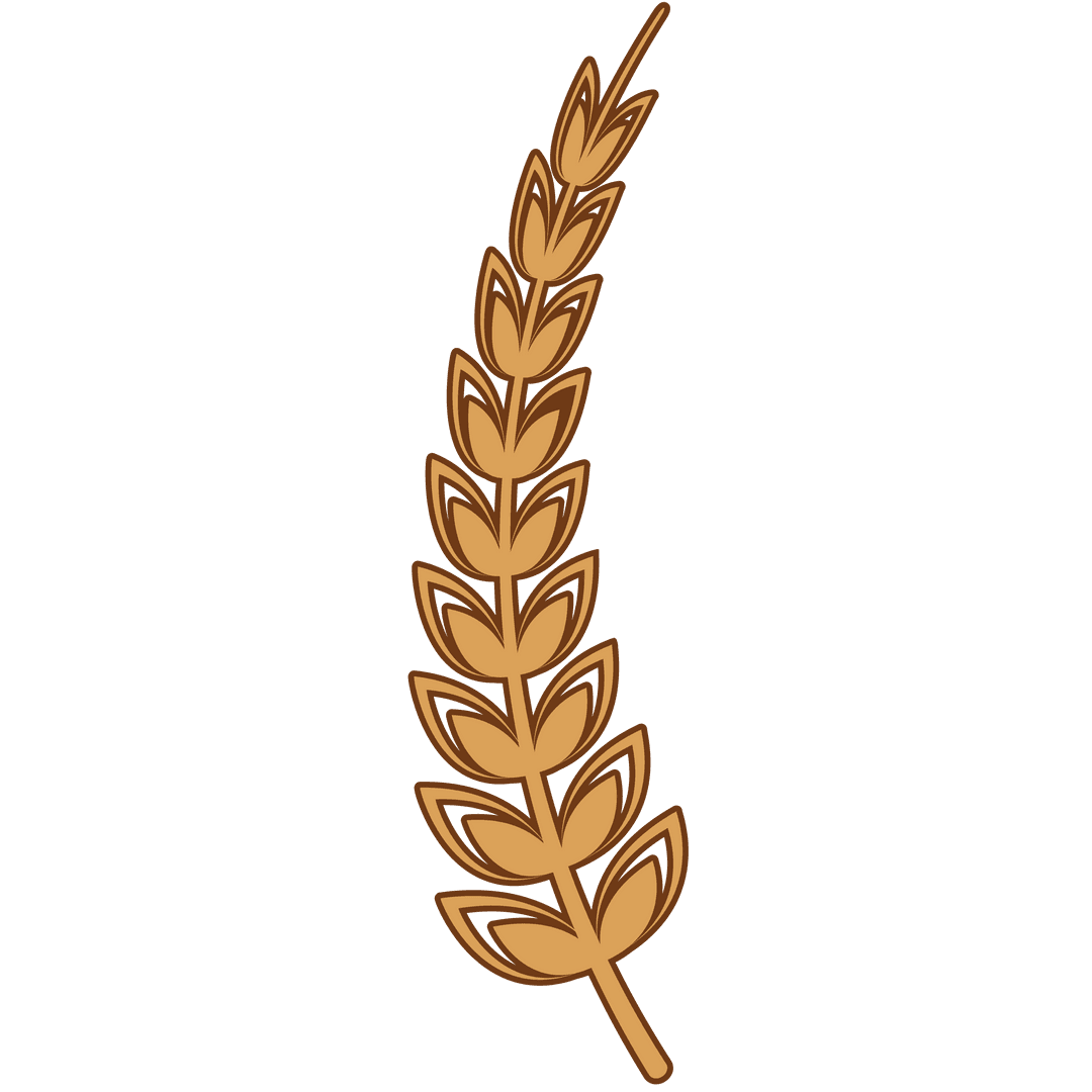 Transparent Golden Wheat Ear Illustration on Clear Background