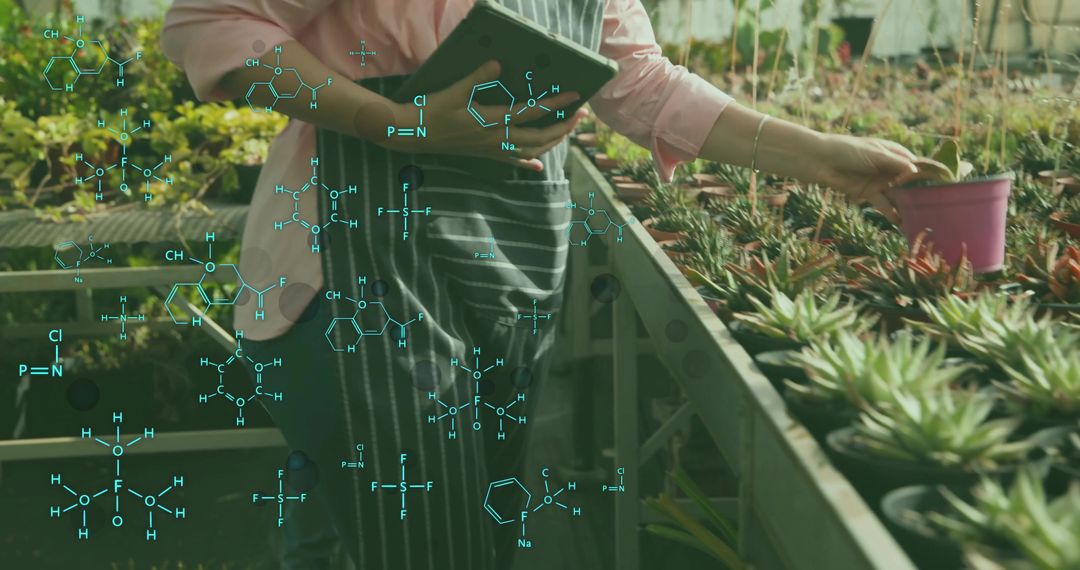 Greenhouse technician using tablet tending succulents with scientific formula overlay