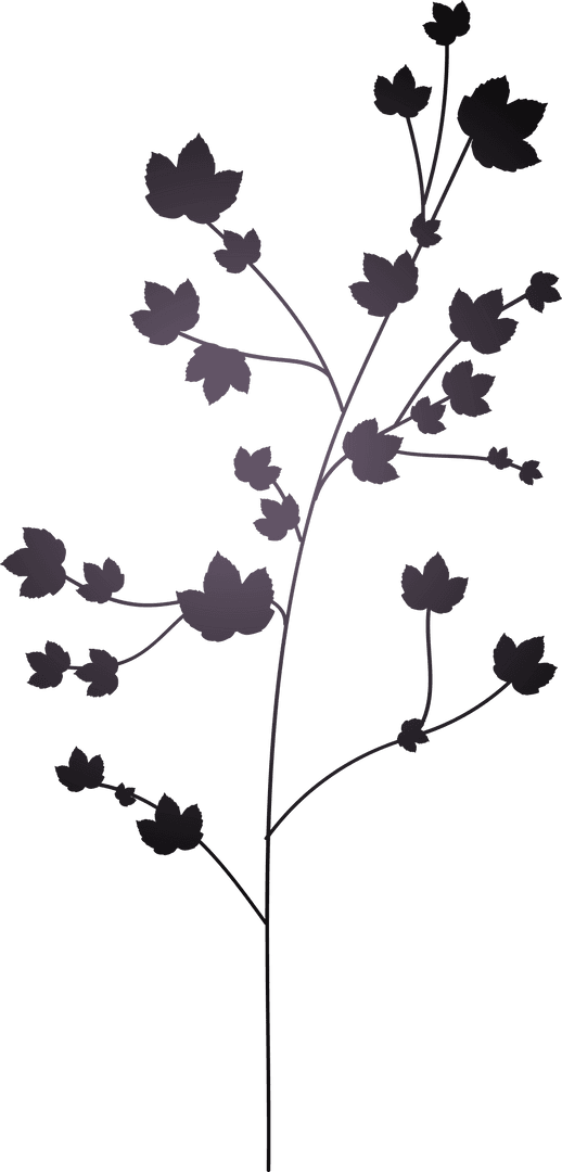 Elegant Transparent Botanical Silhouette Branch Illustration
