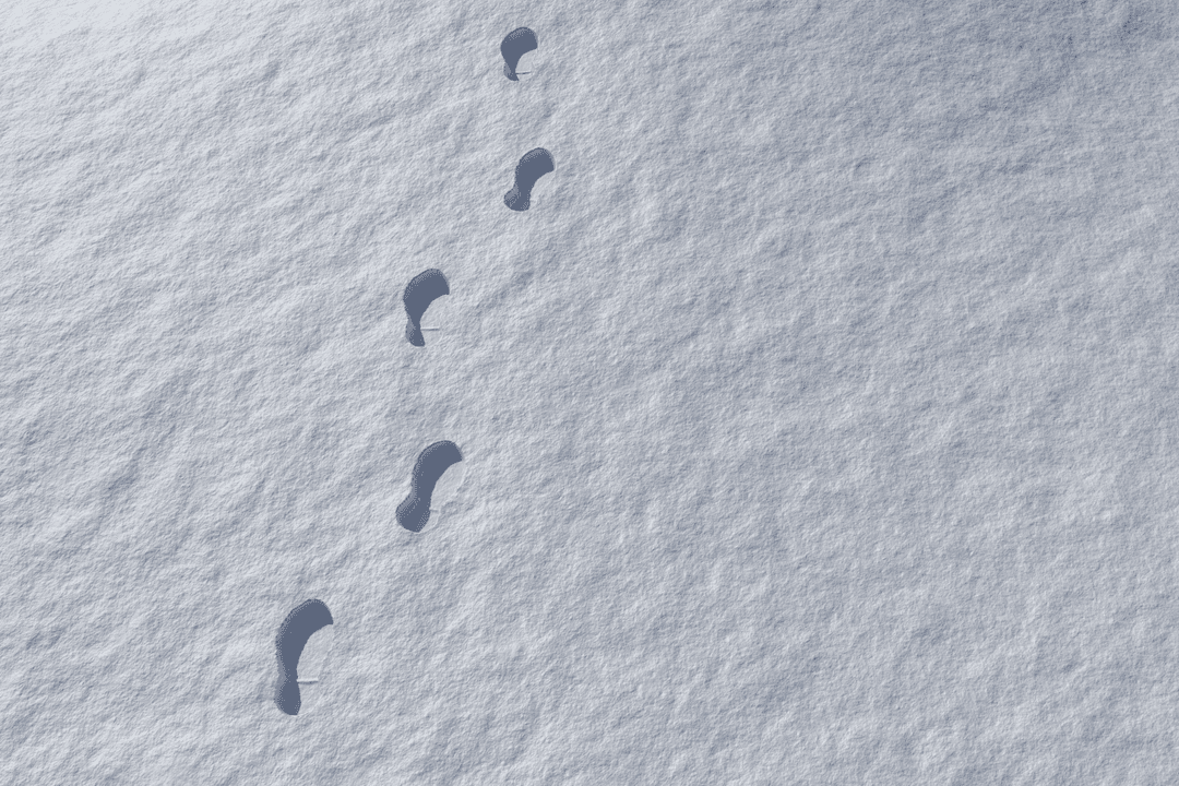 Footprints Imprinted in Transparent White Snow with Copy Space - Download Free Stock Images Pikwizard.com